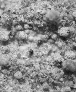 Figure 16b: Microscopic picture of Material bled from Geotex 104F showing some flyash beads along with the fine aggregates (mostly cement)