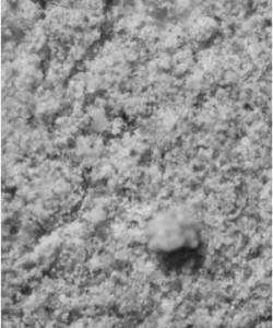 Figure 16c: Microscopic picture of Material bled from Geotex 315ST with almost no flyash beads
