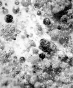 Figure 16a: Microscopic picture of Pure Flyash with different sizes of flyash beads Figure 16a: Microscopic picture of Pure Flyash with different sizes of flyash beads